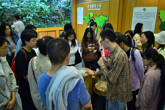 3.参观仙湖植物园蕨类中心